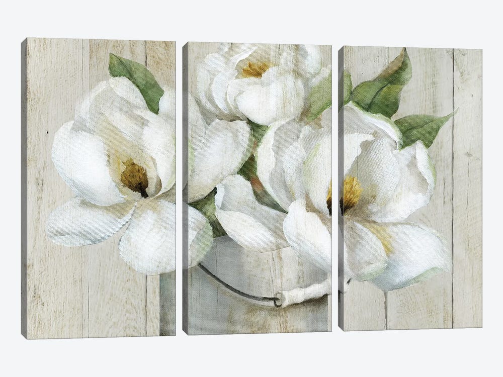 Shiplap Magnolias by Nan 3-piece Canvas Wall Art
