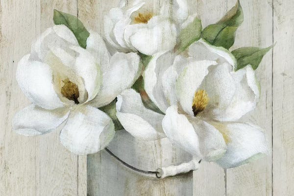 Nan: Shiplap Magnolias by Nan