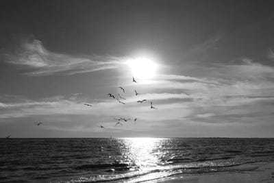 Taking Flight by Nan art print