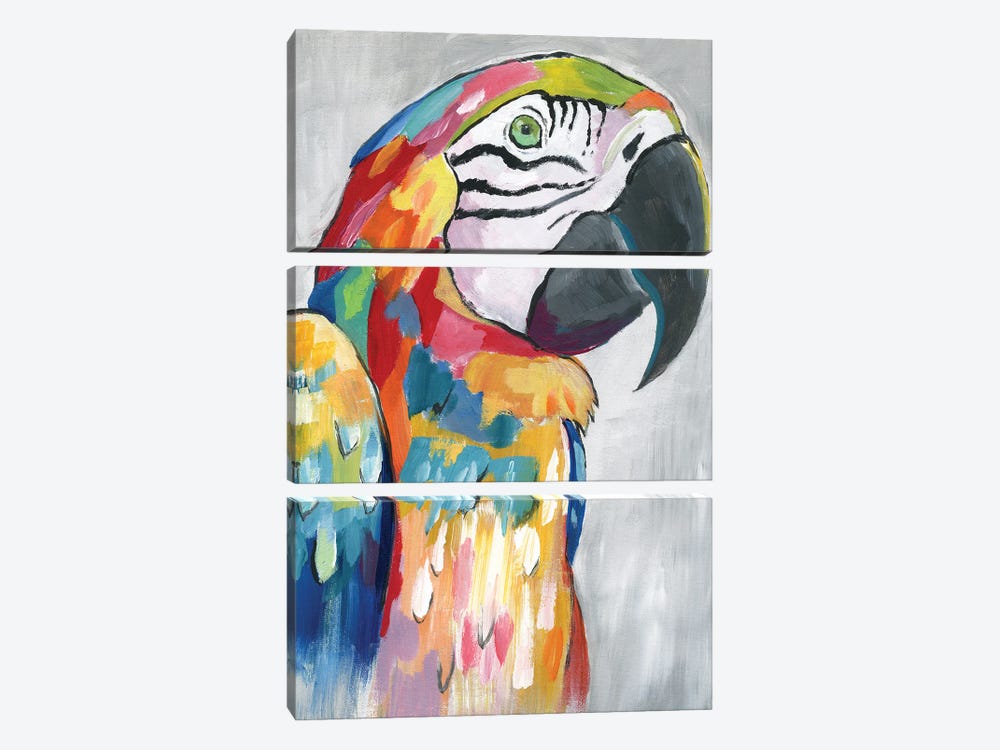Vibrant Parrot by Nan 3-piece Canvas Art Print