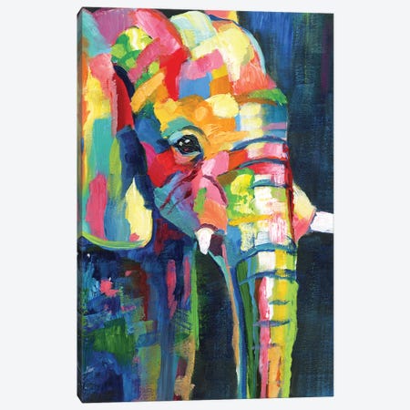 Vibrant Elephant Canvas Print #NAN585} by Nan Canvas Art