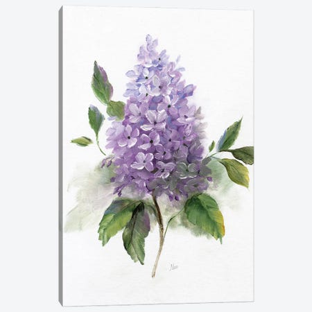 Lilac Romance I Canvas Print #NAN607} by Nan Art Print