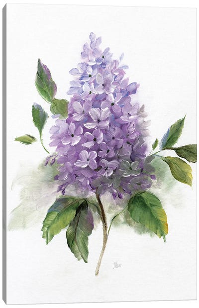 Lilac Romance I Canvas Art Print - Lilac Art