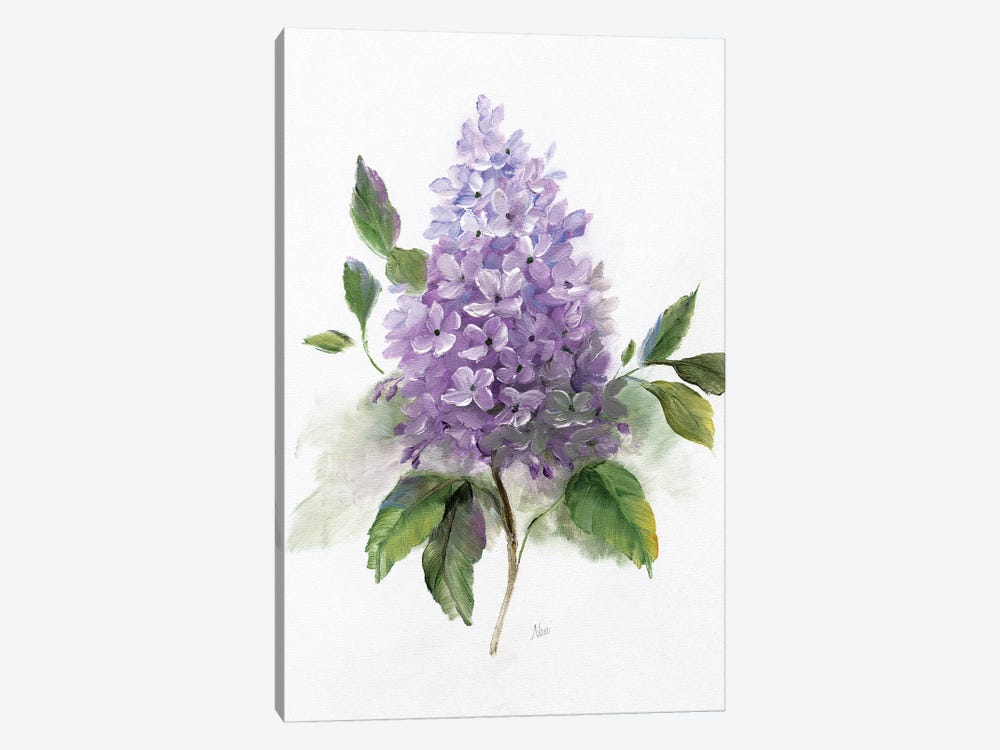 Lilac Romance I by Nan 1-piece Canvas Print