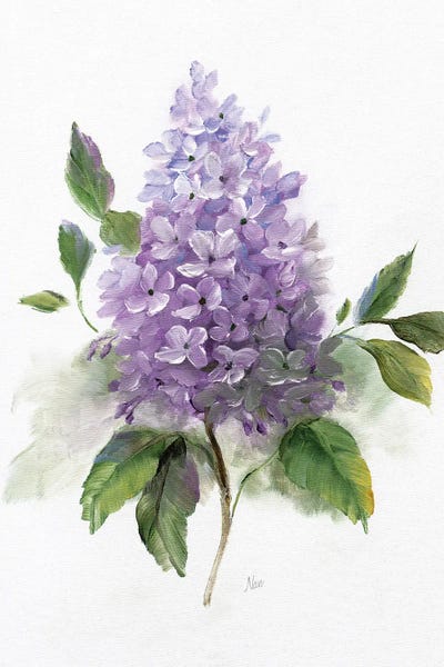 Spring: Lilac Romance I by Nan