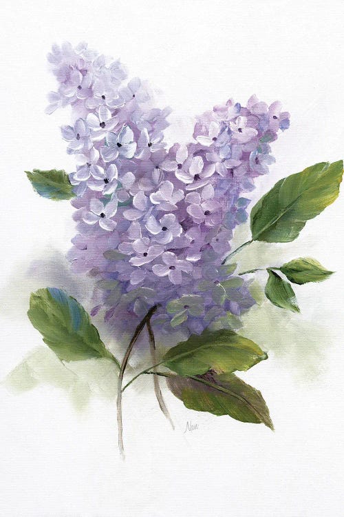 Lilac Romance II