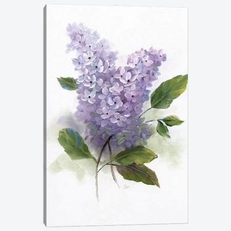 Lilac Romance II Canvas Print #NAN608} by Nan Canvas Wall Art