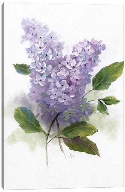 Lilac Romance II Canvas Art Print - Lilacs