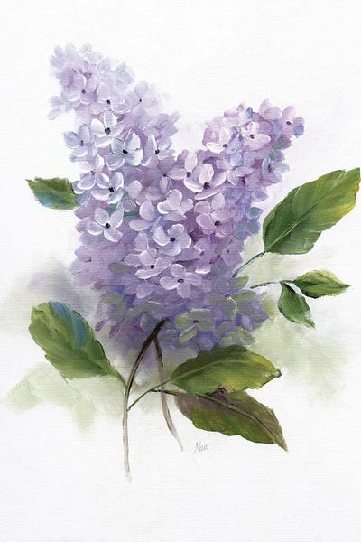 Nan: Lilac Romance II by Nan