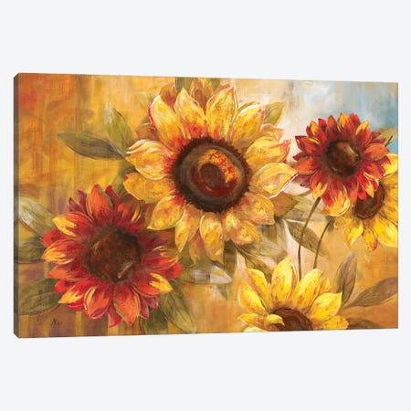 Sunflower Cheer Canvas Print #NAN620} by Nan Canvas Art