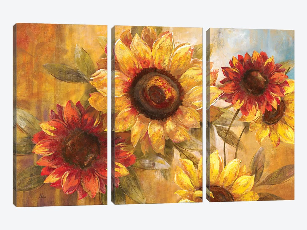 Sunflower Cheer by Nan 3-piece Canvas Artwork