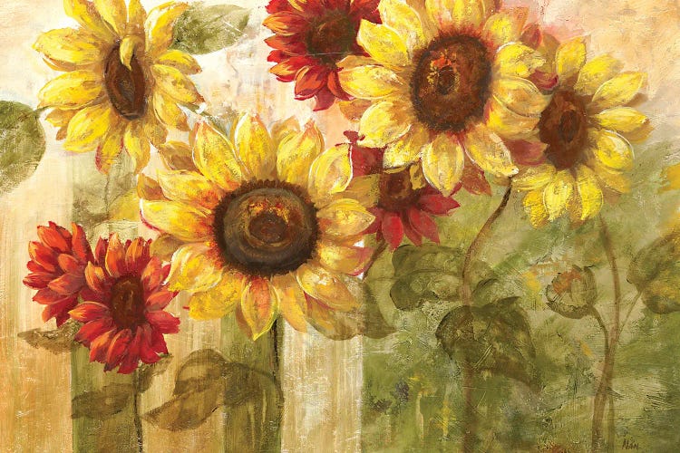 Sunflower's Delight by Nan wall art