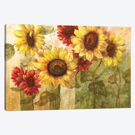 Sunflower's Delight Canvas Print #NAN621} by Nan Canvas Artwork