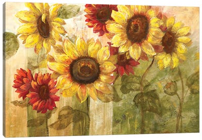 Sunflower's Delight Canvas Art Print - Sunflower Art