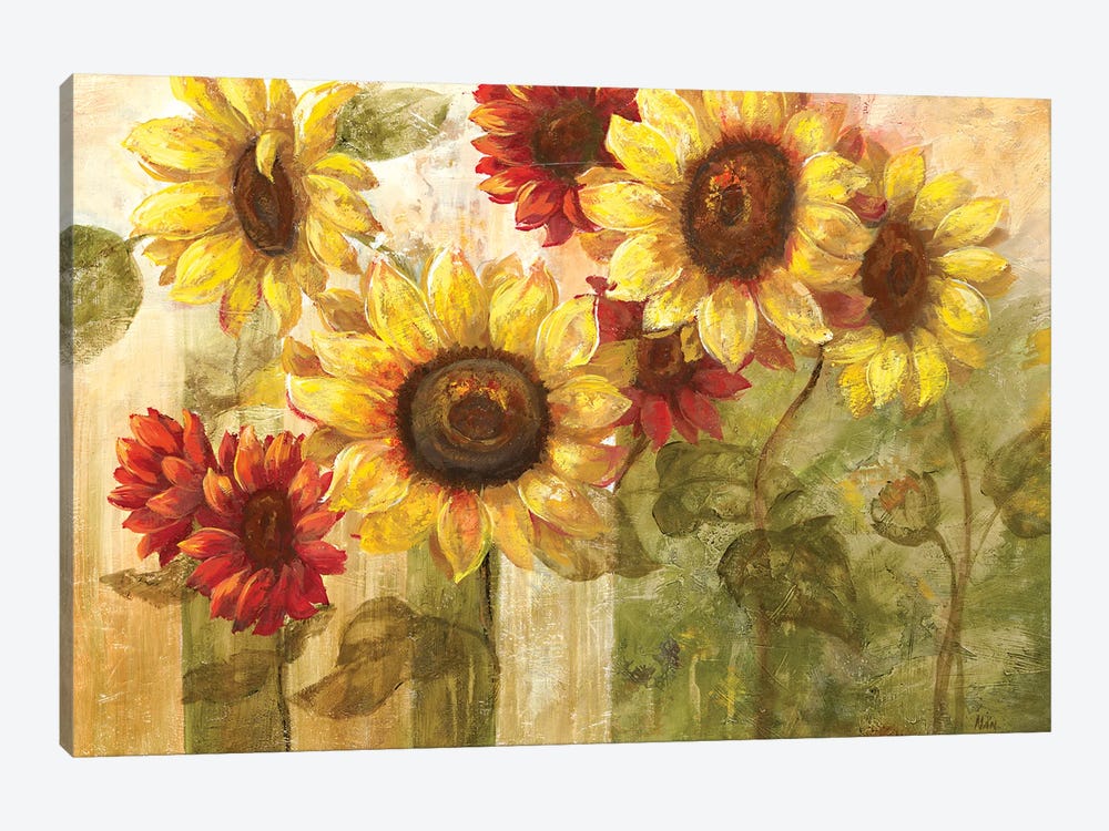 Sunflower's Delight by Nan 1-piece Canvas Art Print