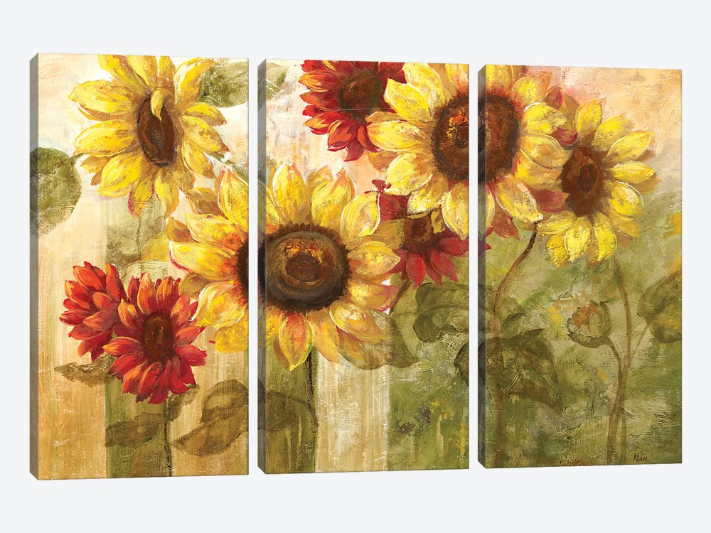 Sunflower's Delight by Nan 3-piece Canvas Print