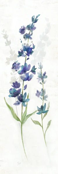 Herbs: Fresh Cut Lavender I by Nan