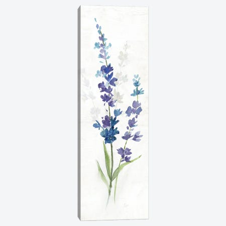 Fresh Cut Lavender II Canvas Print #NAN647} by Nan Art Print