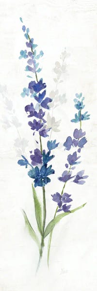 Nan: Fresh Cut Lavender II by Nan