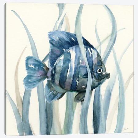 Fish in Seagrass I Canvas Print #NAN64} by Nan Canvas Artwork