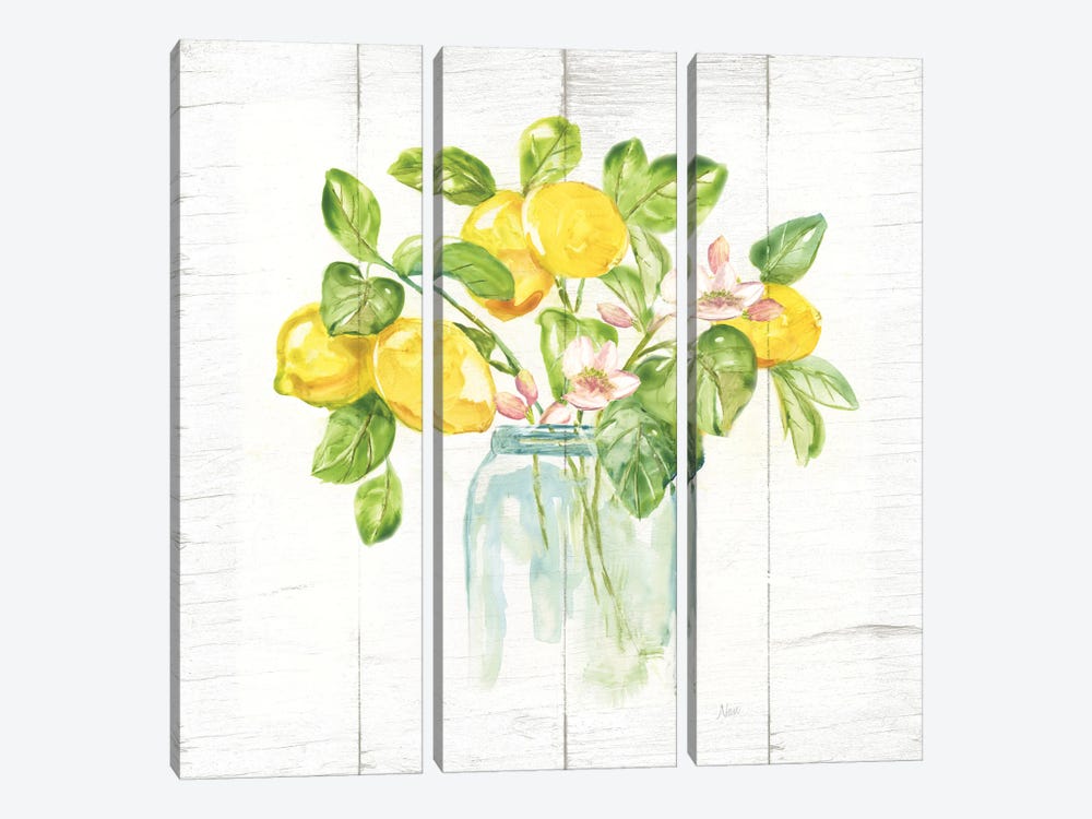 Lemon Branches II by Nan 3-piece Canvas Print