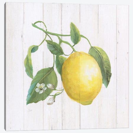 Lemon Fresh I Canvas Print #NAN659} by Nan Canvas Art Print
