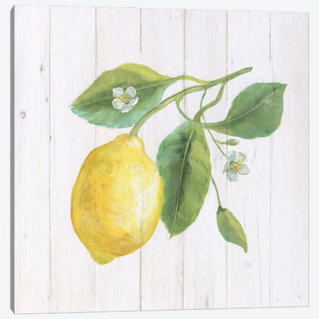 Lemon Fresh II Canvas Print #NAN660} by Nan Canvas Artwork