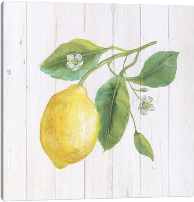 Lemon Fresh II Canvas Art Print - Lemon & Lime Art