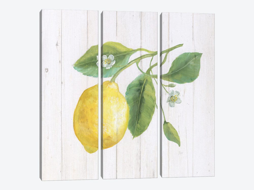 Lemon Fresh II by Nan 3-piece Canvas Art