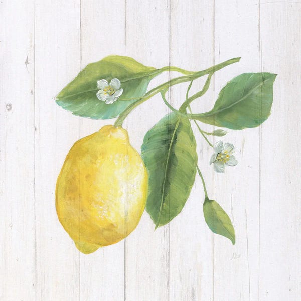 Nan: Lemon Fresh II by Nan