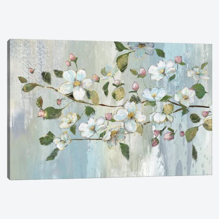 Painterly Blossoms Canvas Print #NAN666} by Nan Canvas Print