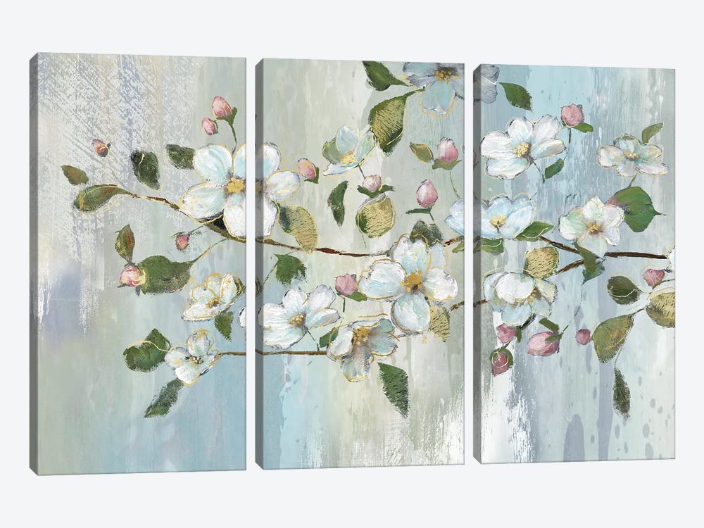 Painterly Blossoms by Nan 3-piece Canvas Artwork