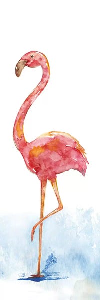 Flamingos: Flamingo Splash II by Nan