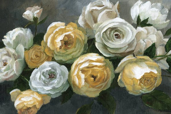 Nan: Vintage Belles by Nan