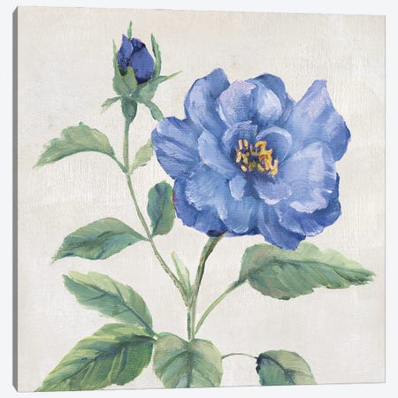 Blue Grandiflora II Canvas Print #NAN702} by Nan Art Print