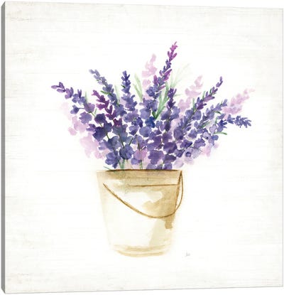 Bucket Of Lavender I Canvas Art Print - Herb Art