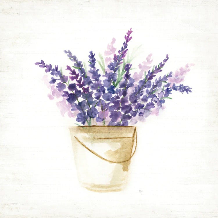 Bucket Of Lavender I