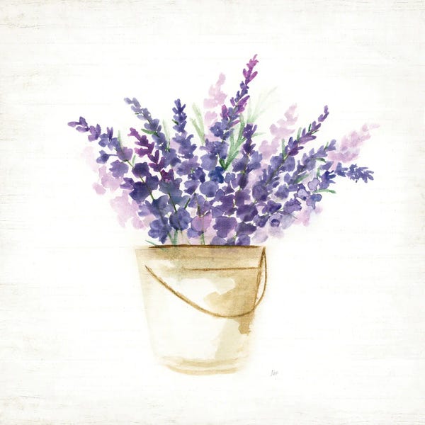Minimalist Bohemian Decor: Bucket Of Lavender I by Nan