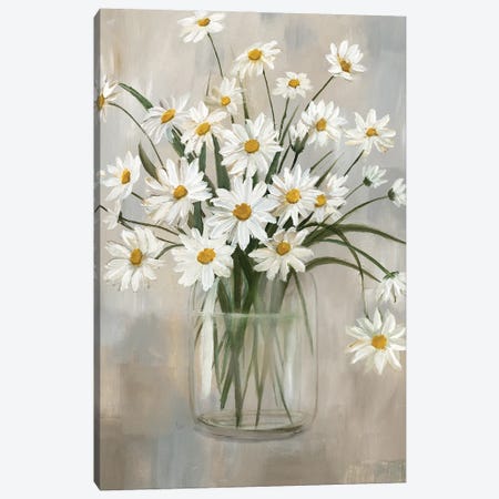 Daisy Cluster Canvas Print #NAN713} by Nan Canvas Artwork