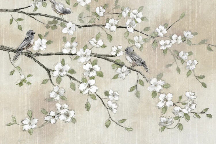Early Birds And Blossoms