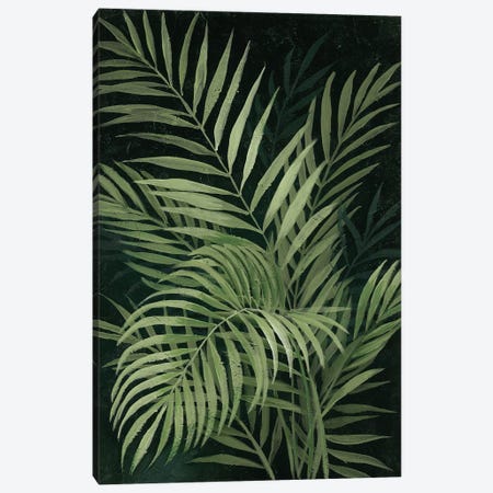 Island Dream Palms II Canvas Print #NAN718} by Nan Canvas Art