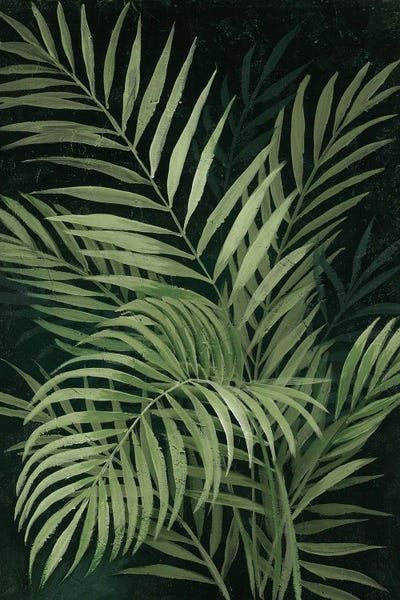 Bohemian Décor: Island Dream Palms II by Nan