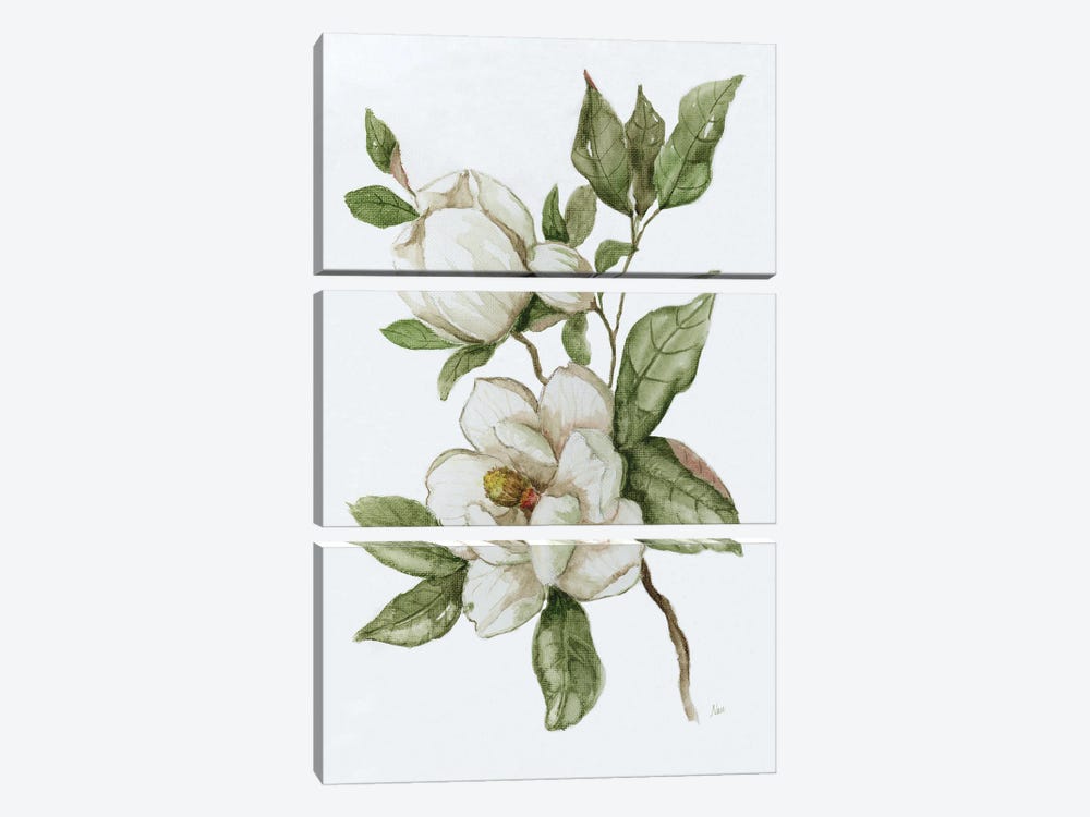 Magnolia Morning II by Nan 3-piece Canvas Print