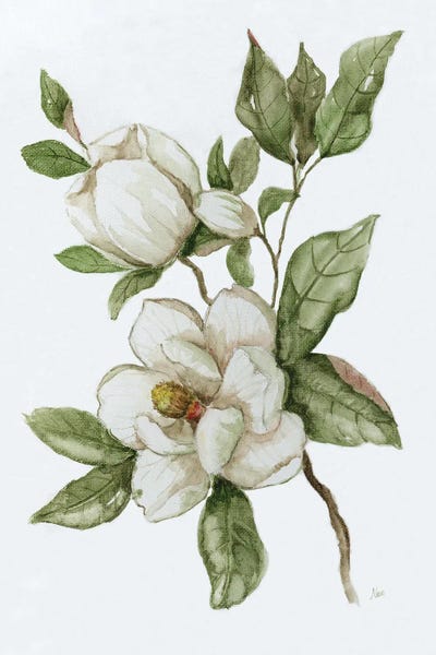 Modern Farmhouse Living Room: Magnolia Morning II by Nan