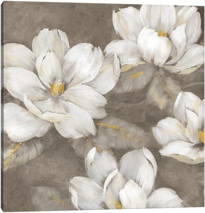 Magnolia Twilight Canvas Art Print - Magnolia Art