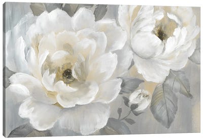 Perfect Peonies Canvas Art Print - Shabby Chic Décor