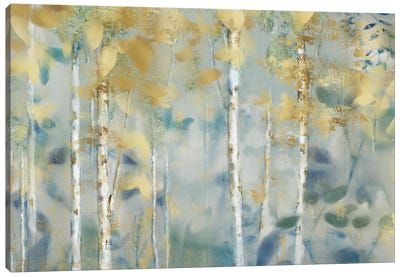 Gilded Forest II Canvas Art Print - Aspen and Birch Trees