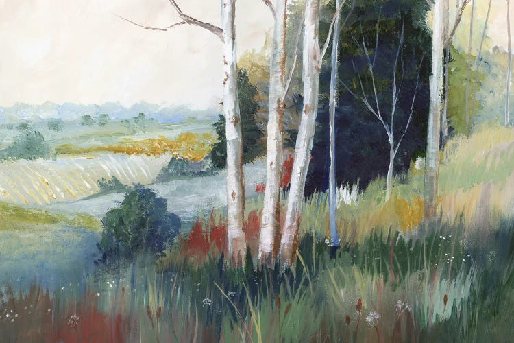 Aspen Ridge by Nan wall art