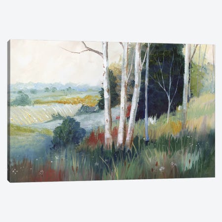 Aspen Ridge Canvas Print #NAN736} by Nan Canvas Art Print