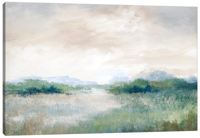 Calming Vista Canvas Art Print - Nan